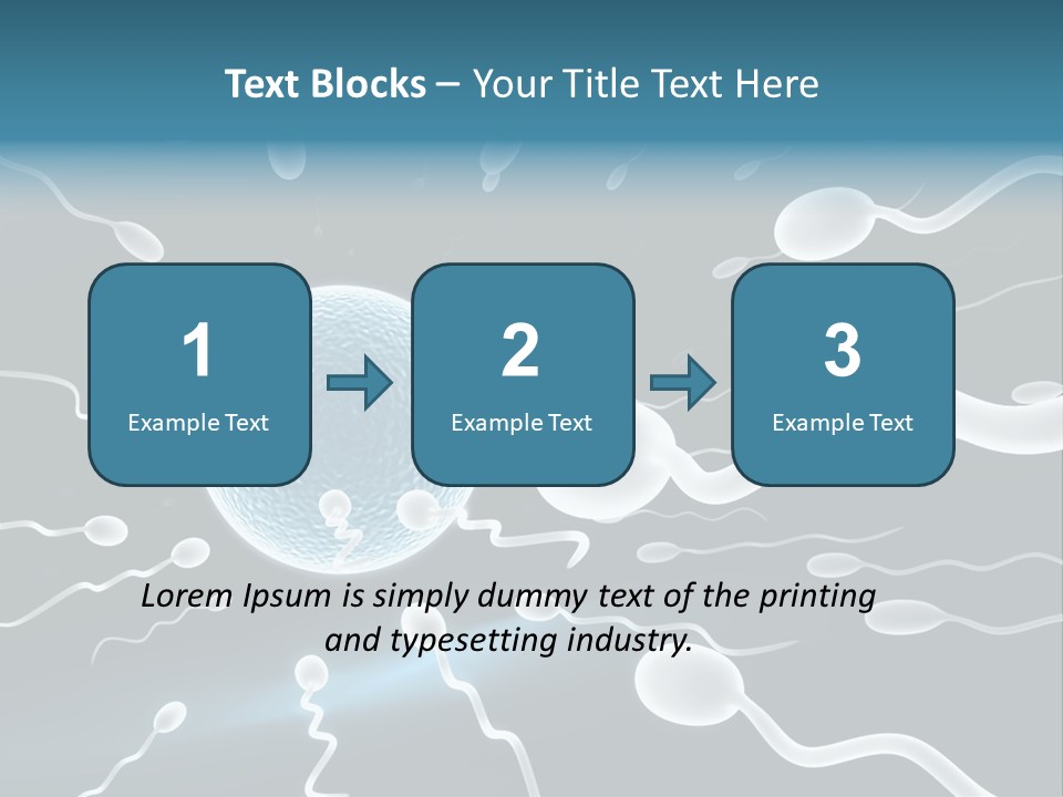 Curl Beautiful Design PowerPoint Template