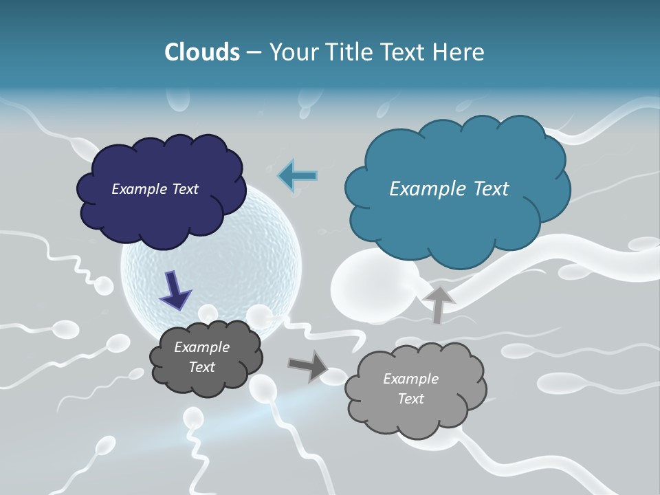 Curl Beautiful Design PowerPoint Template