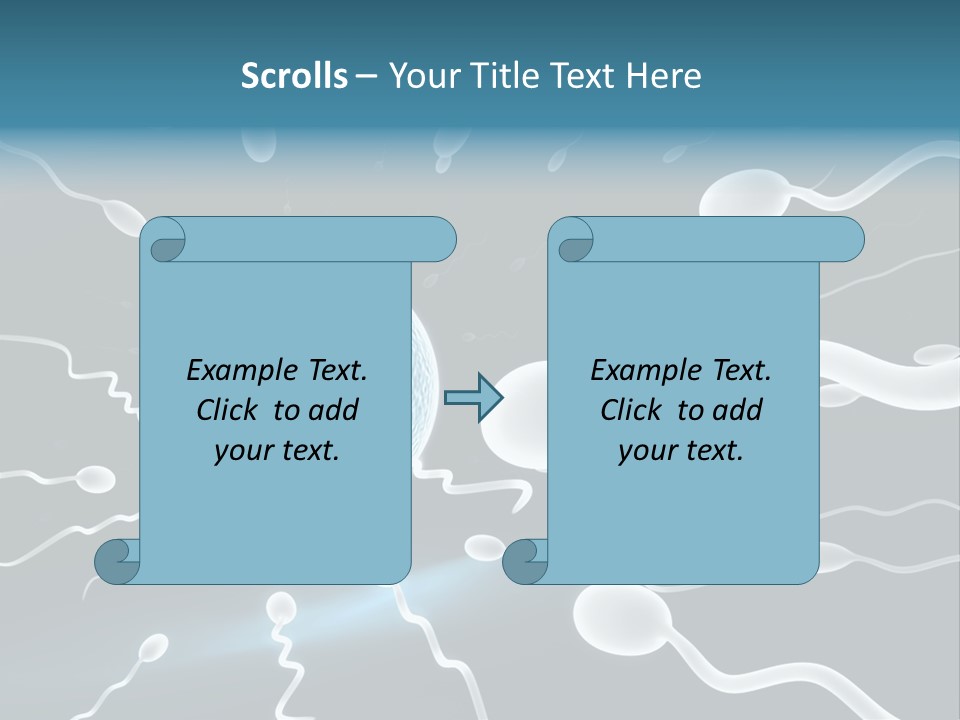 Curl Beautiful Design PowerPoint Template