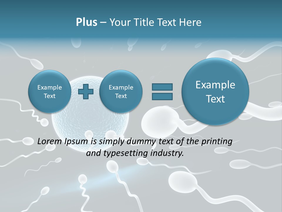 Curl Beautiful Design PowerPoint Template
