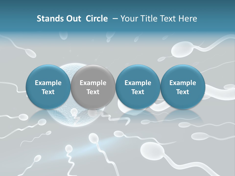 Curl Beautiful Design PowerPoint Template