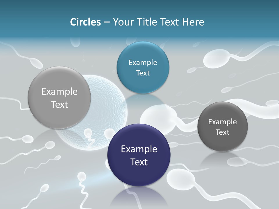 Curl Beautiful Design PowerPoint Template