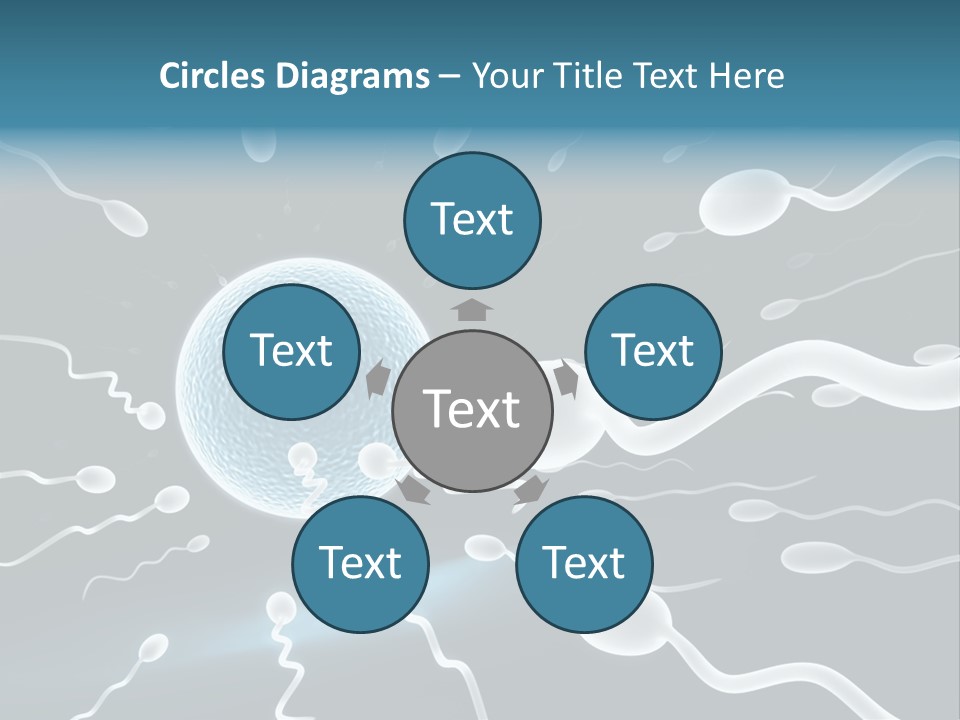 Curl Beautiful Design PowerPoint Template