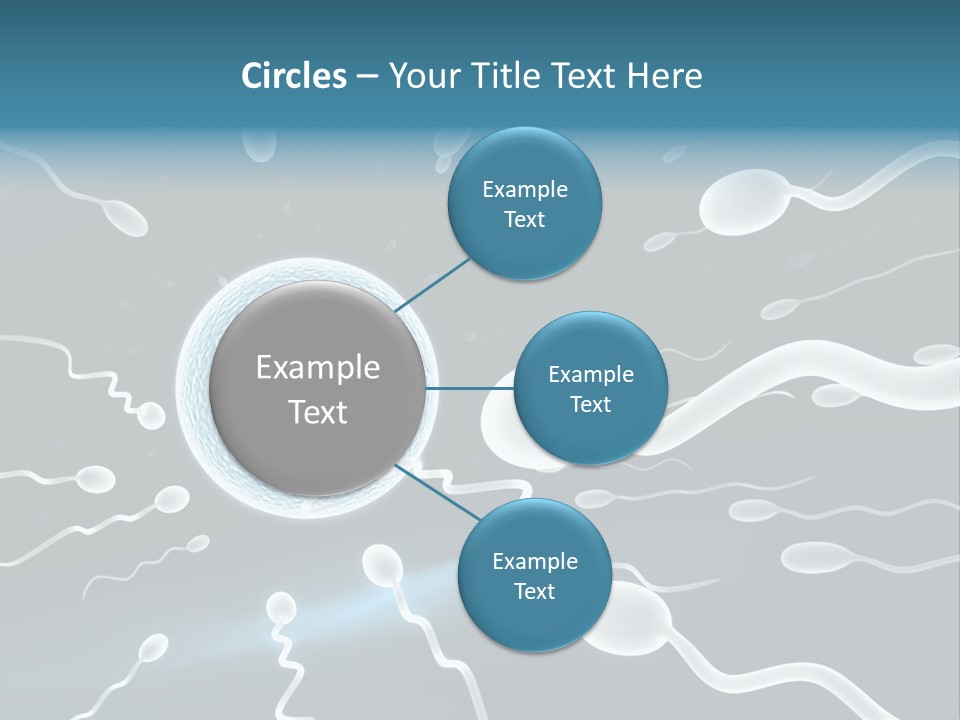 Curl Beautiful Design PowerPoint Template