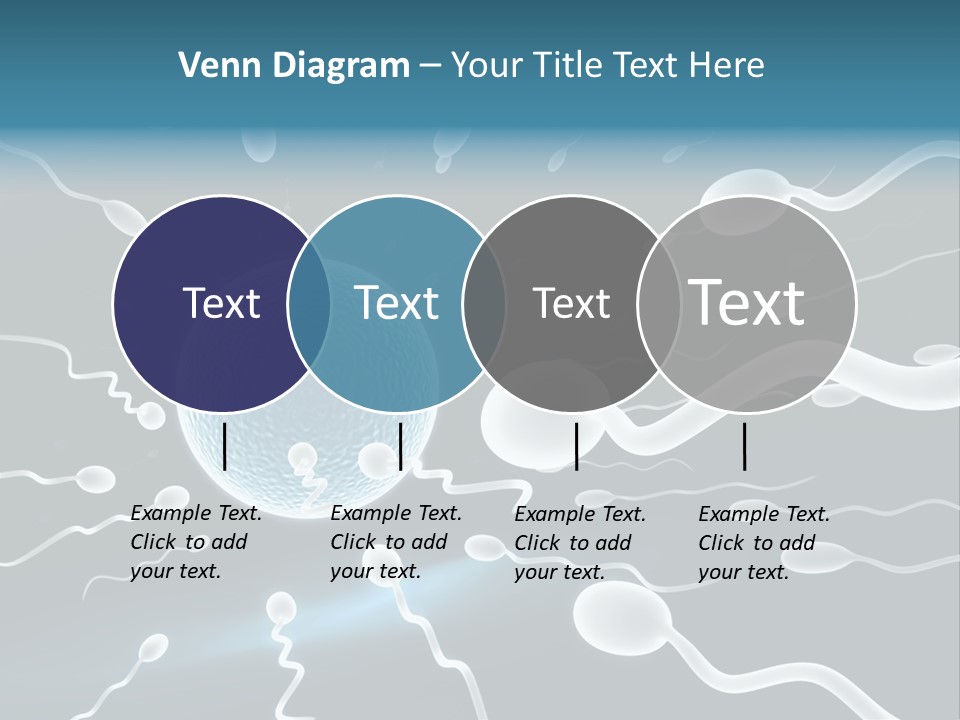 Curl Beautiful Design PowerPoint Template