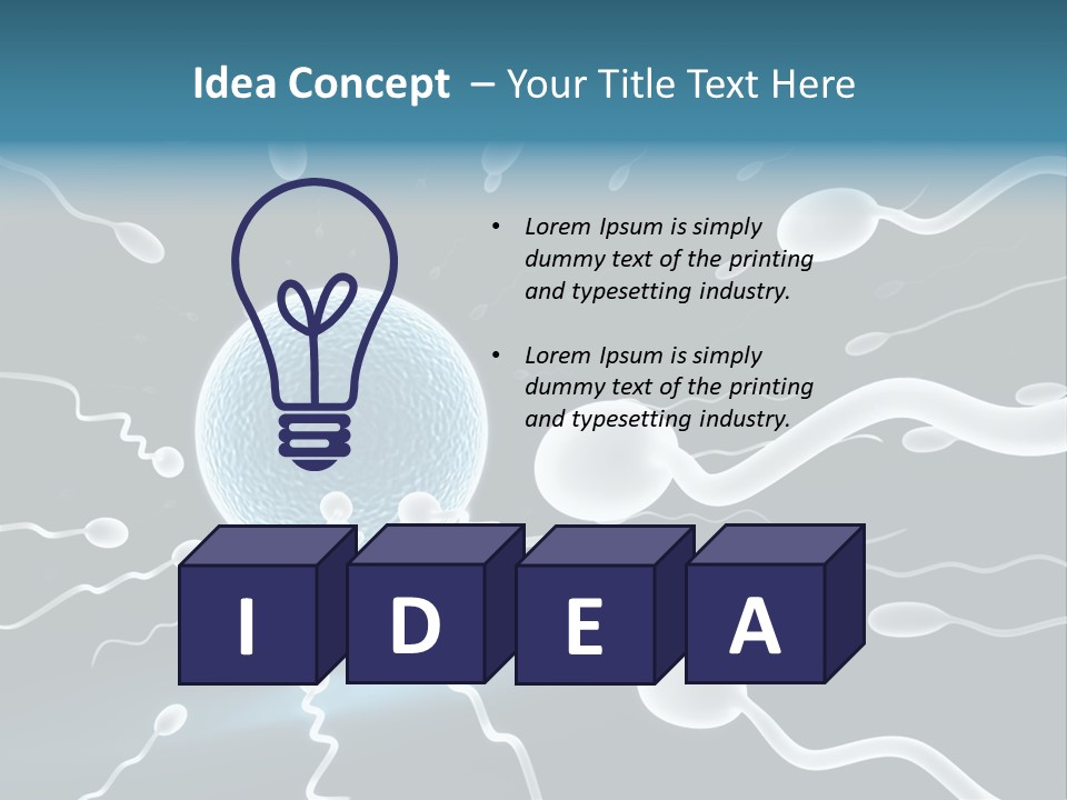 Curl Beautiful Design PowerPoint Template