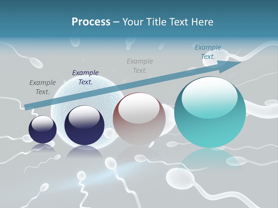 Curl Beautiful Design PowerPoint Template