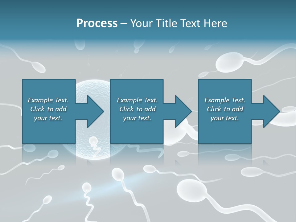 Curl Beautiful Design PowerPoint Template