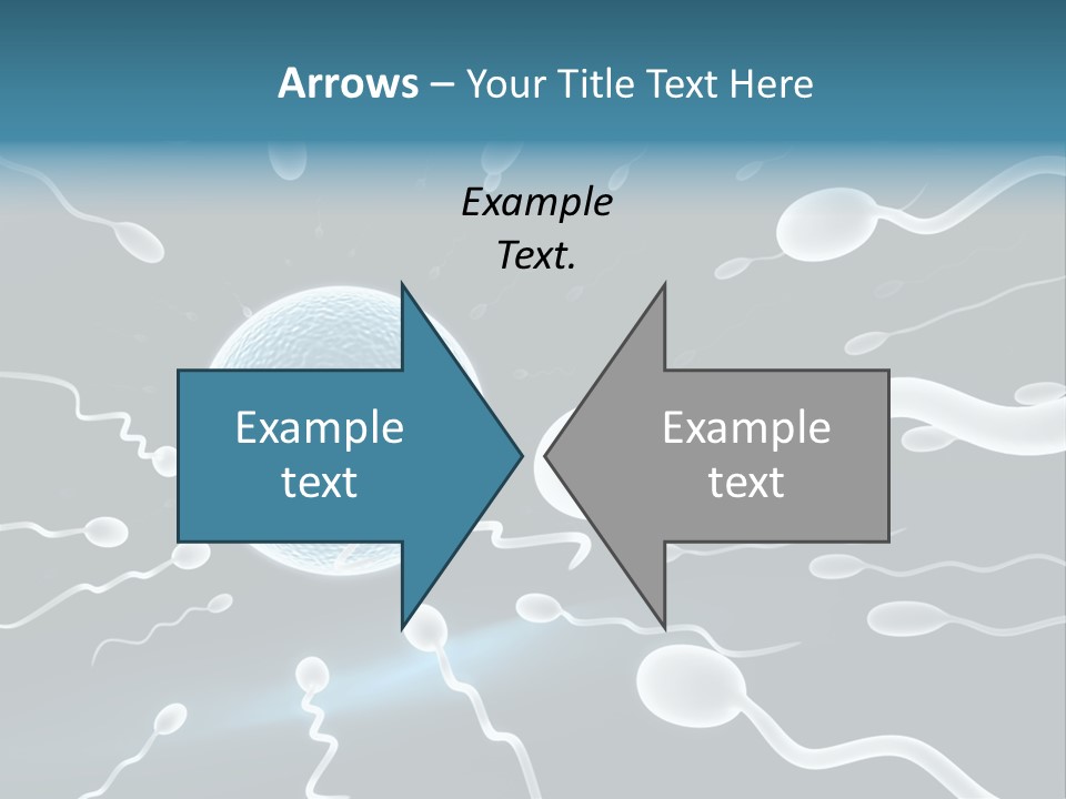 Curl Beautiful Design PowerPoint Template