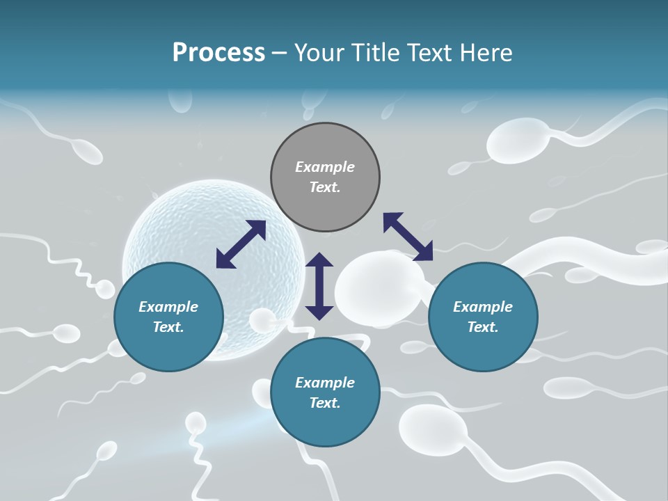 Curl Beautiful Design PowerPoint Template