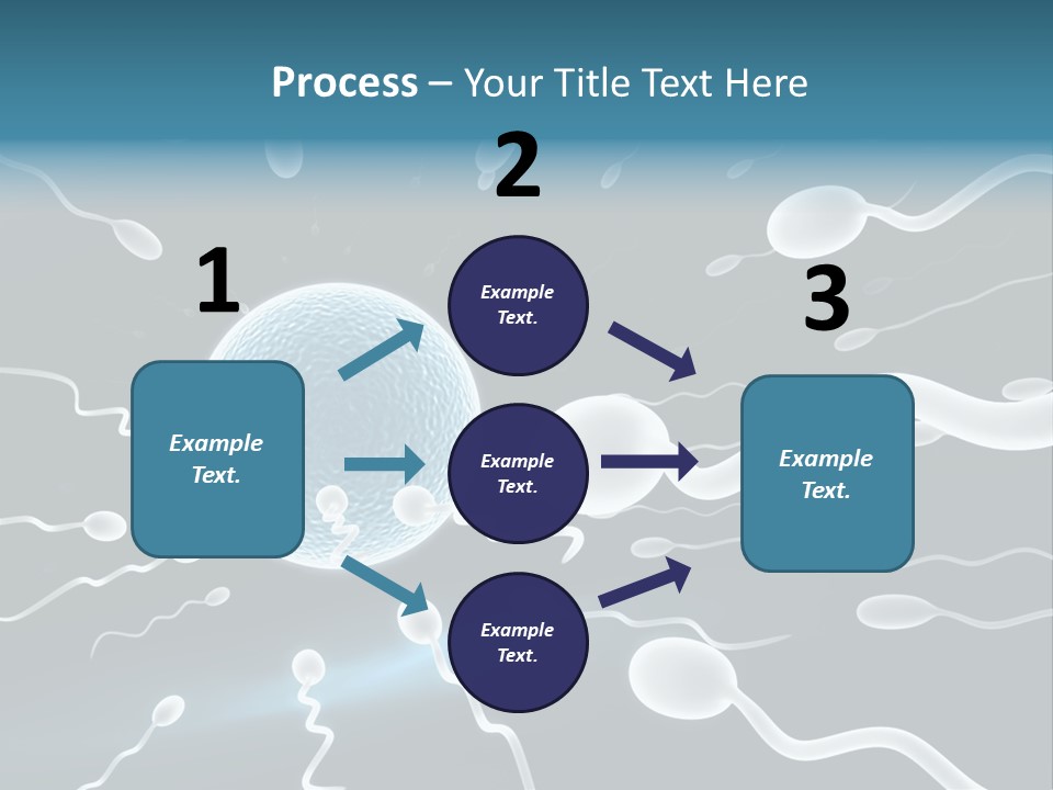 Curl Beautiful Design PowerPoint Template