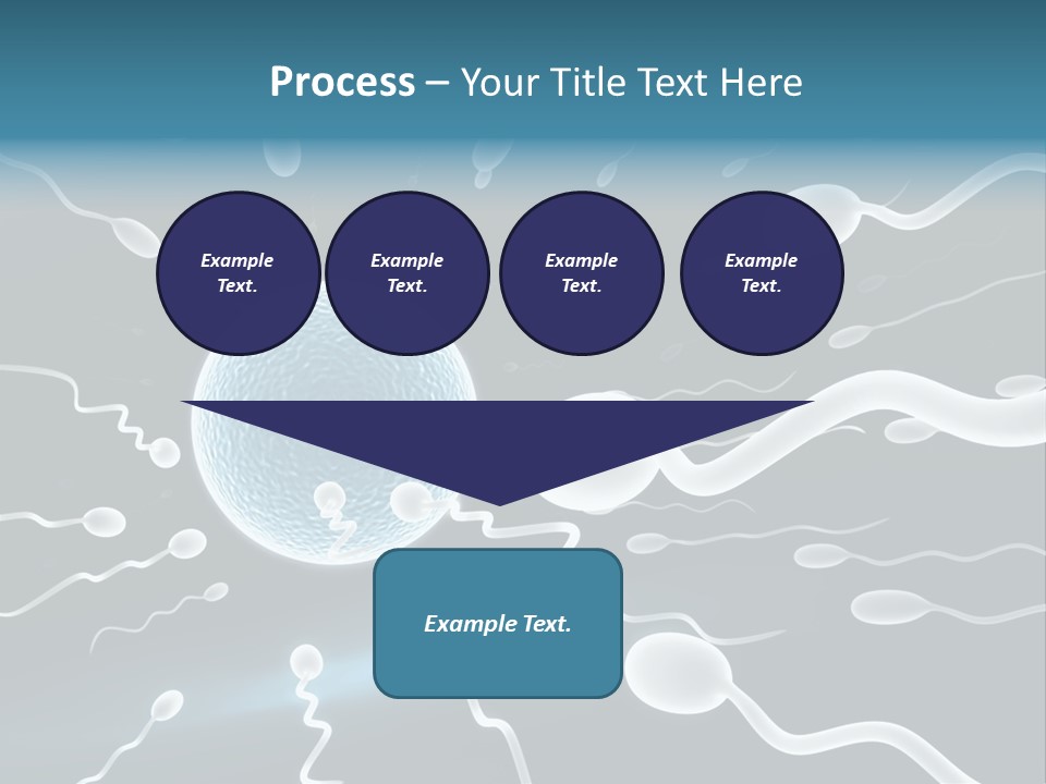 Curl Beautiful Design PowerPoint Template
