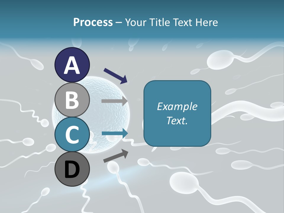 Curl Beautiful Design PowerPoint Template