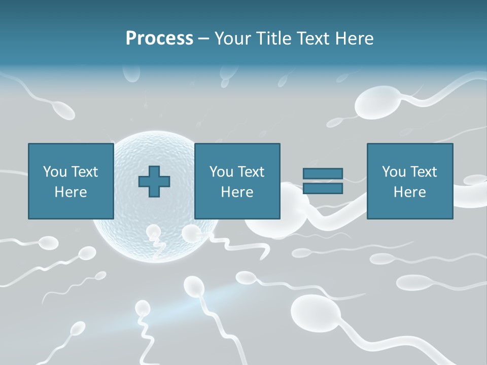 Curl Beautiful Design PowerPoint Template