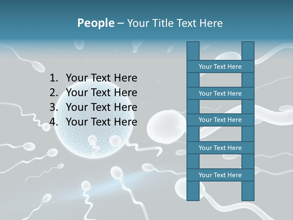 Curl Beautiful Design PowerPoint Template