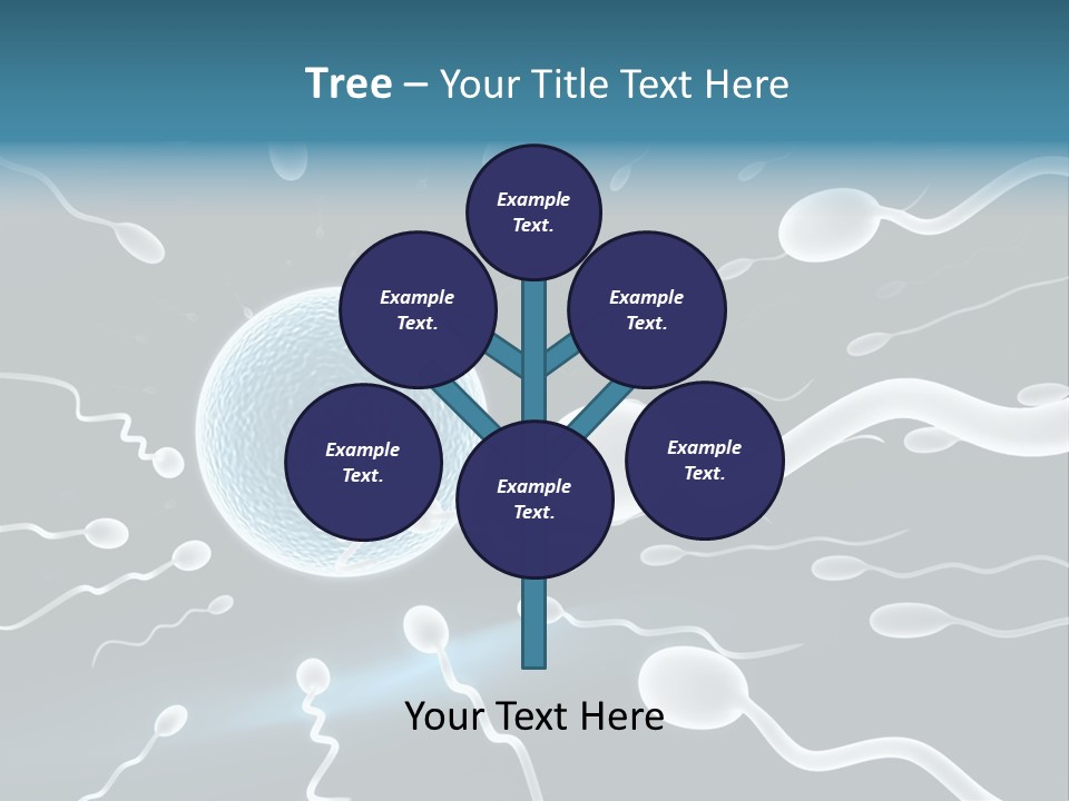 Curl Beautiful Design PowerPoint Template