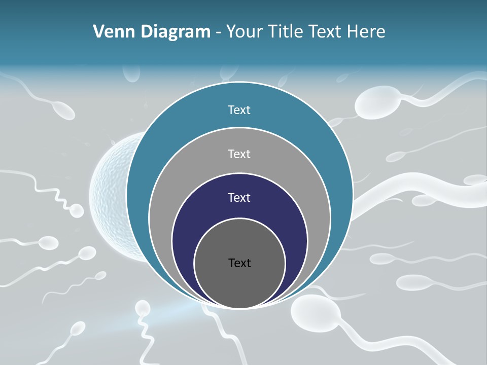 Curl Beautiful Design PowerPoint Template