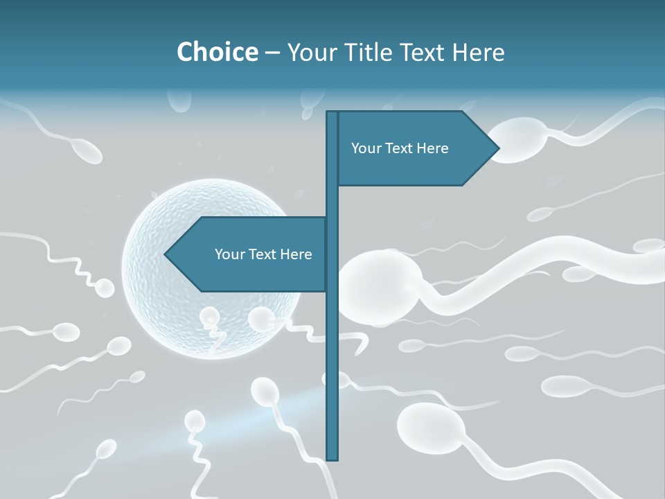 Curl Beautiful Design PowerPoint Template