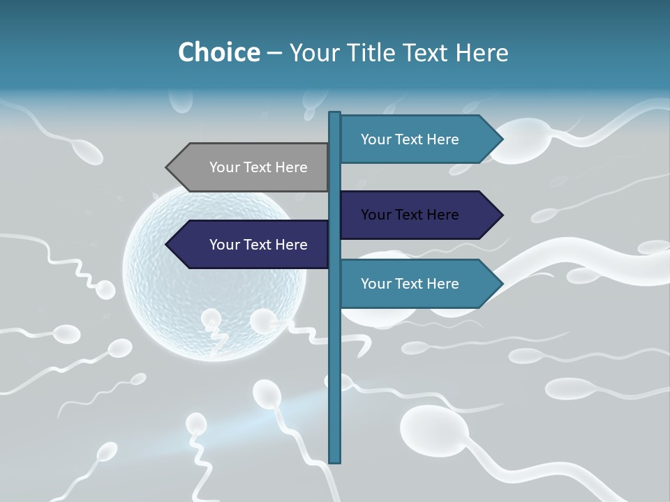Curl Beautiful Design PowerPoint Template