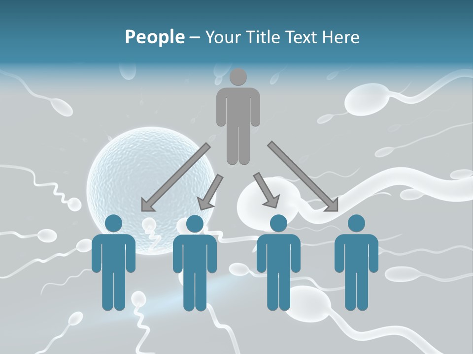 Curl Beautiful Design PowerPoint Template