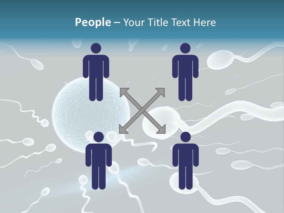 Curl Beautiful Design PowerPoint Template