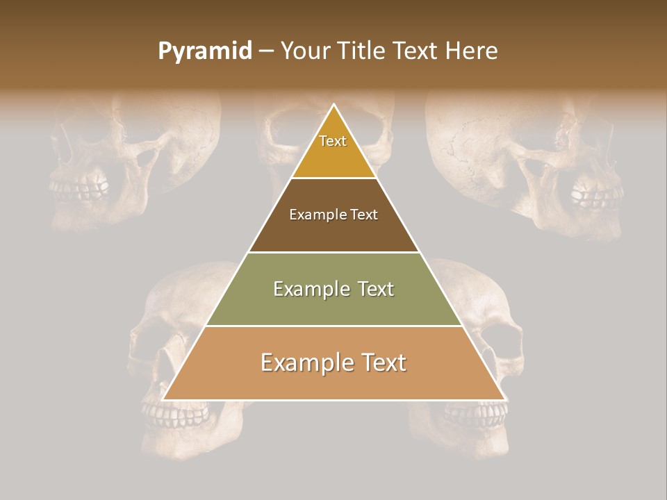Background Person Head PowerPoint Template