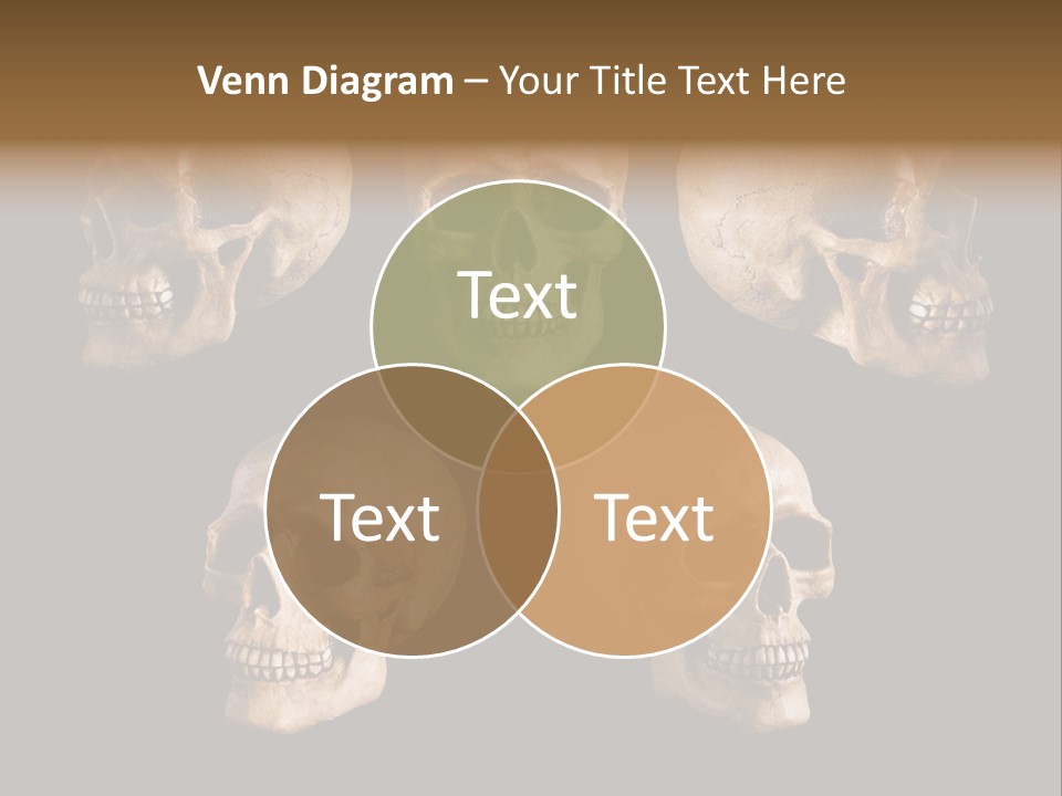 Background Person Head PowerPoint Template