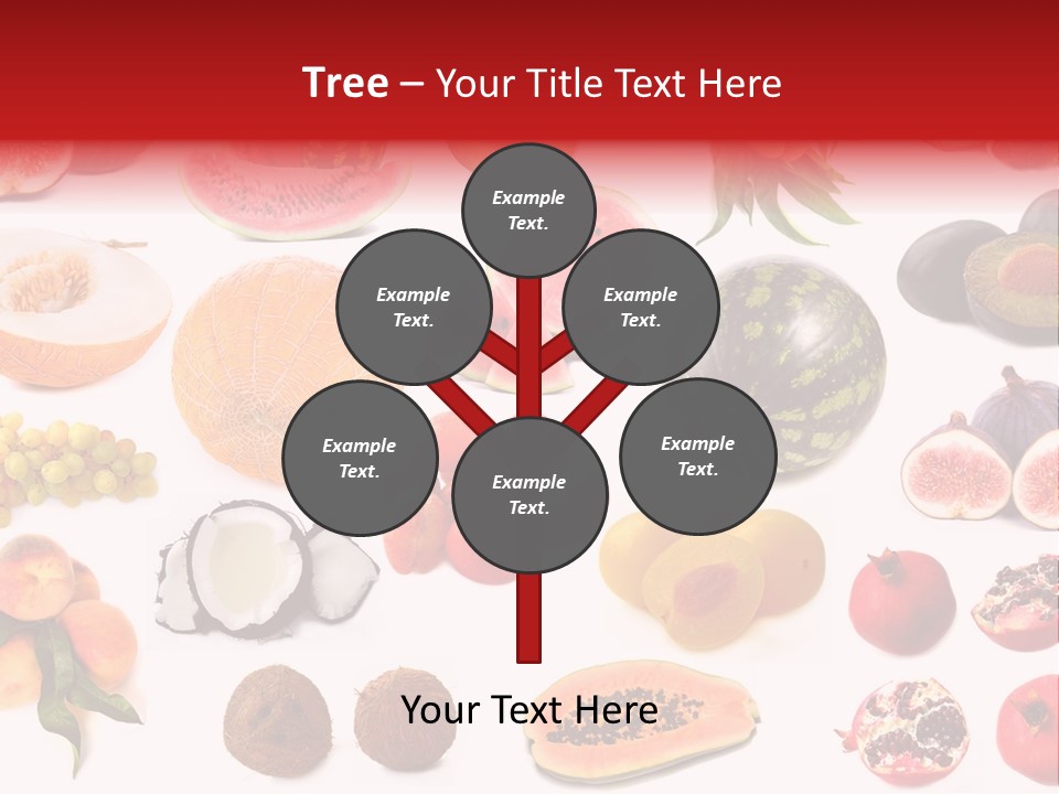 Photography Photo Red PowerPoint Template