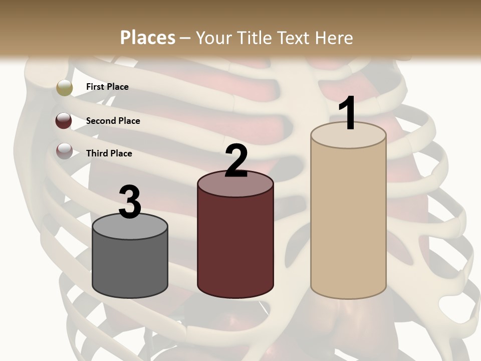 Biology Painful Skeleton PowerPoint Template