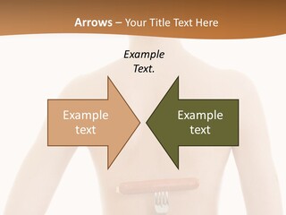 Women Naked Wellness PowerPoint Template