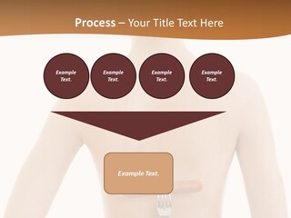 Women Naked Wellness PowerPoint Template