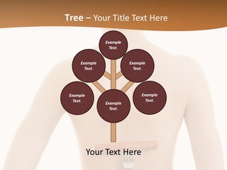 Women Naked Wellness PowerPoint Template