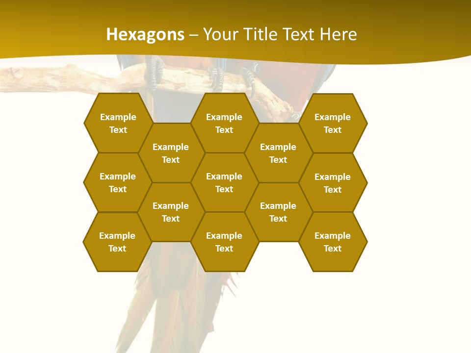 Vivid Beak Tropics PowerPoint Template