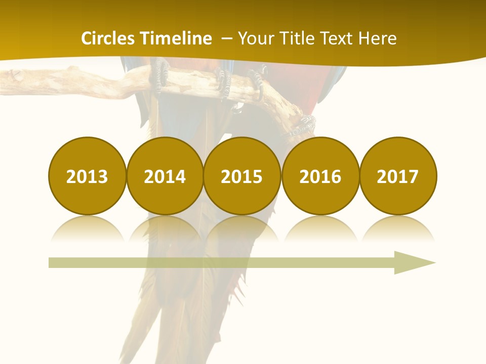 Vivid Beak Tropics PowerPoint Template