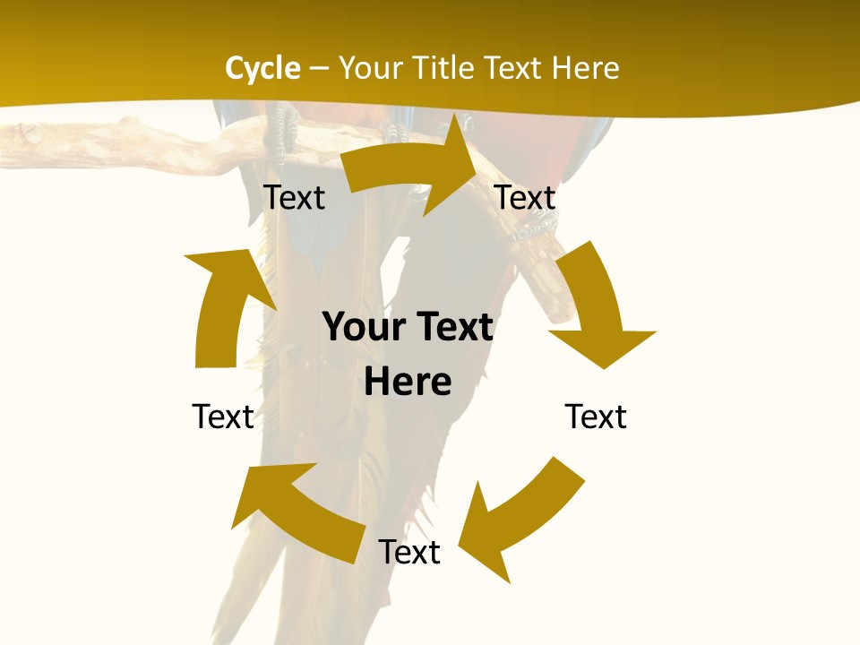 Vivid Beak Tropics PowerPoint Template