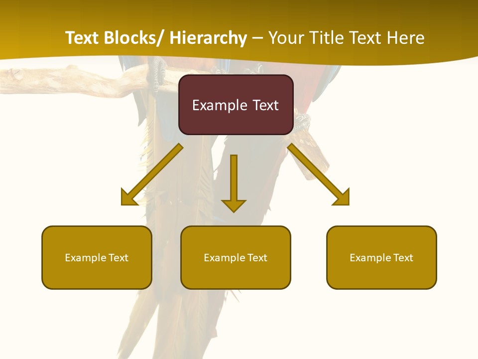 Vivid Beak Tropics PowerPoint Template