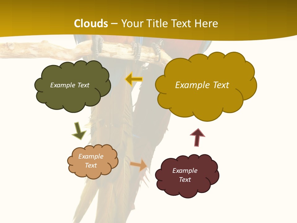 Vivid Beak Tropics PowerPoint Template
