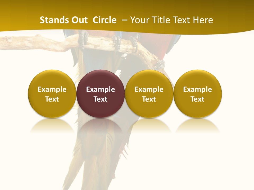 Vivid Beak Tropics PowerPoint Template