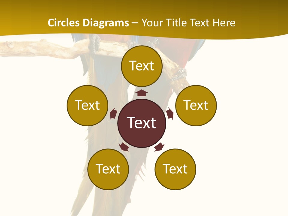 Vivid Beak Tropics PowerPoint Template