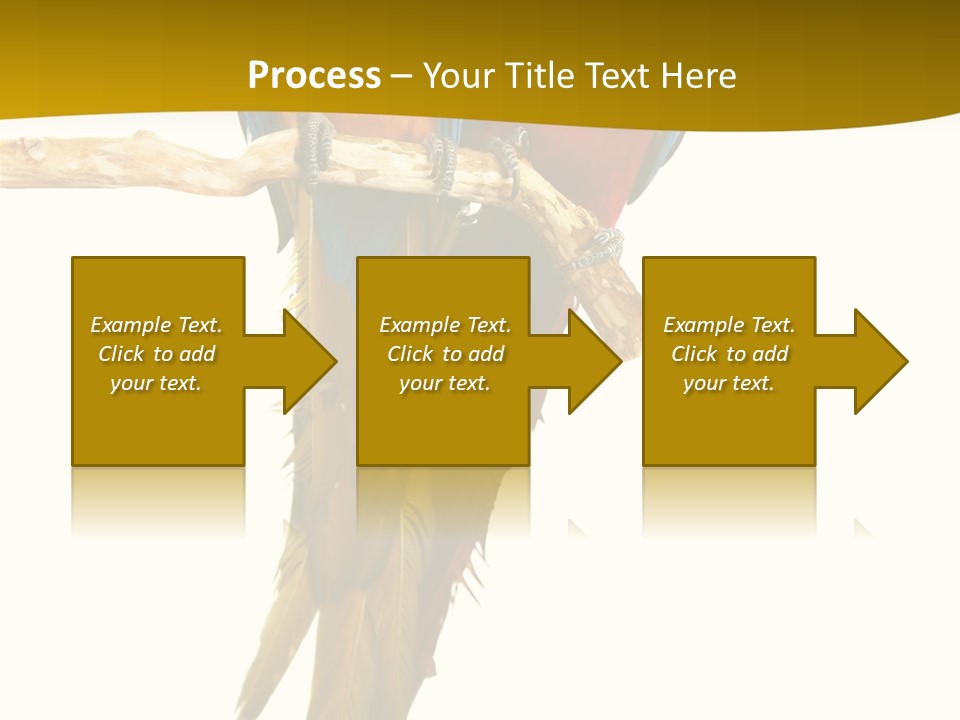 Vivid Beak Tropics PowerPoint Template