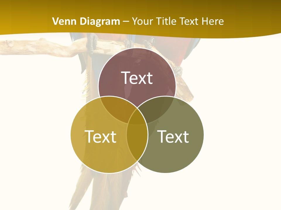 Vivid Beak Tropics PowerPoint Template