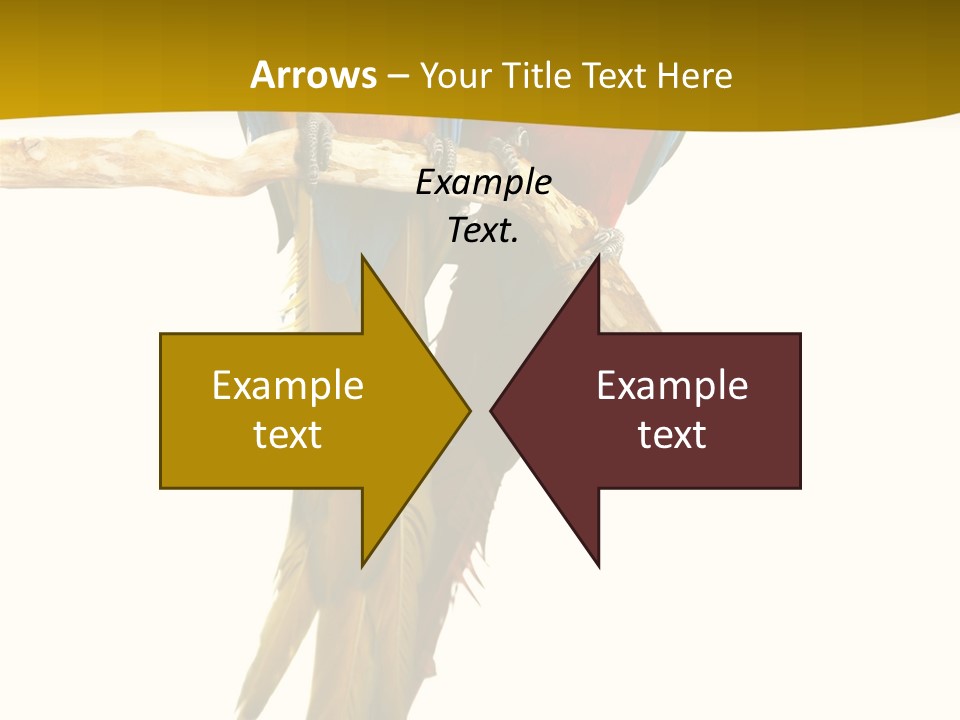 Vivid Beak Tropics PowerPoint Template