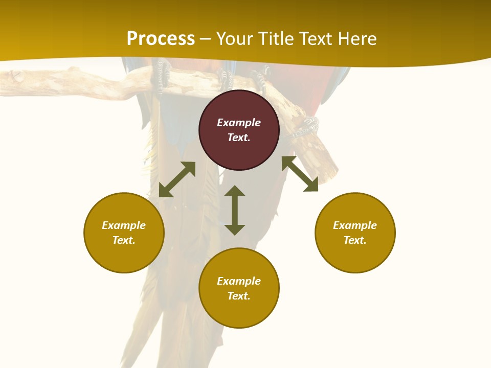 Vivid Beak Tropics PowerPoint Template