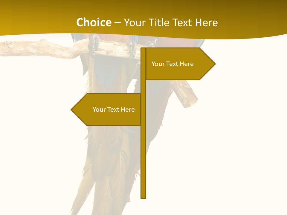 Vivid Beak Tropics PowerPoint Template