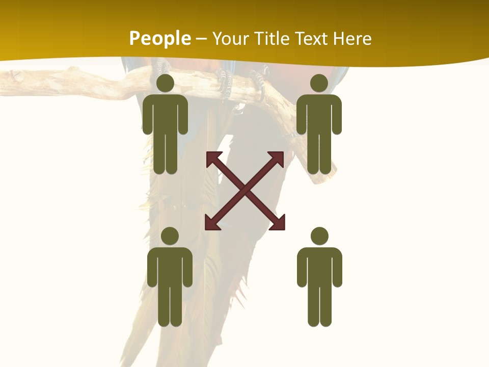 Vivid Beak Tropics PowerPoint Template