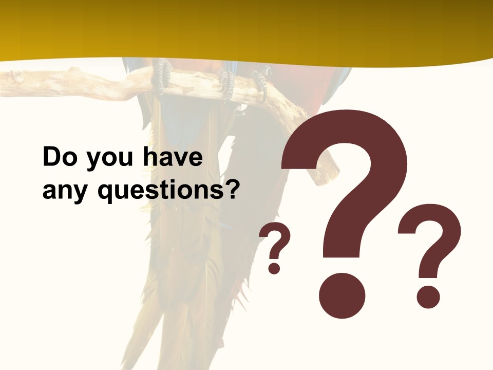 Vivid Beak Tropics PowerPoint Template