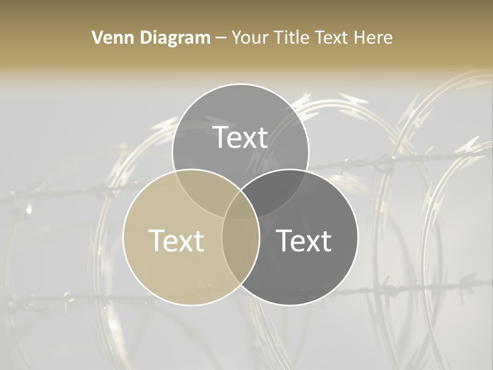 Protection Torture Barbed PowerPoint Template