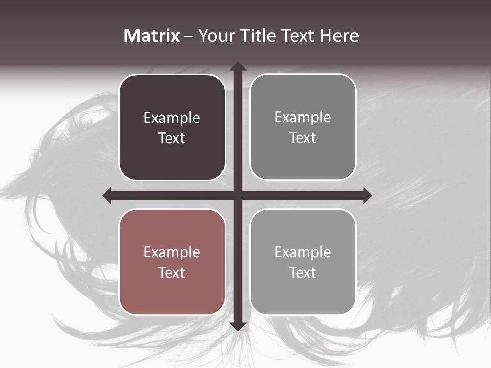 A Close Up Of A Black Hair On A White Background PowerPoint Template