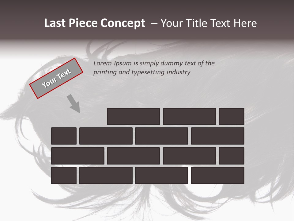 A Close Up Of A Black Hair On A White Background PowerPoint Template