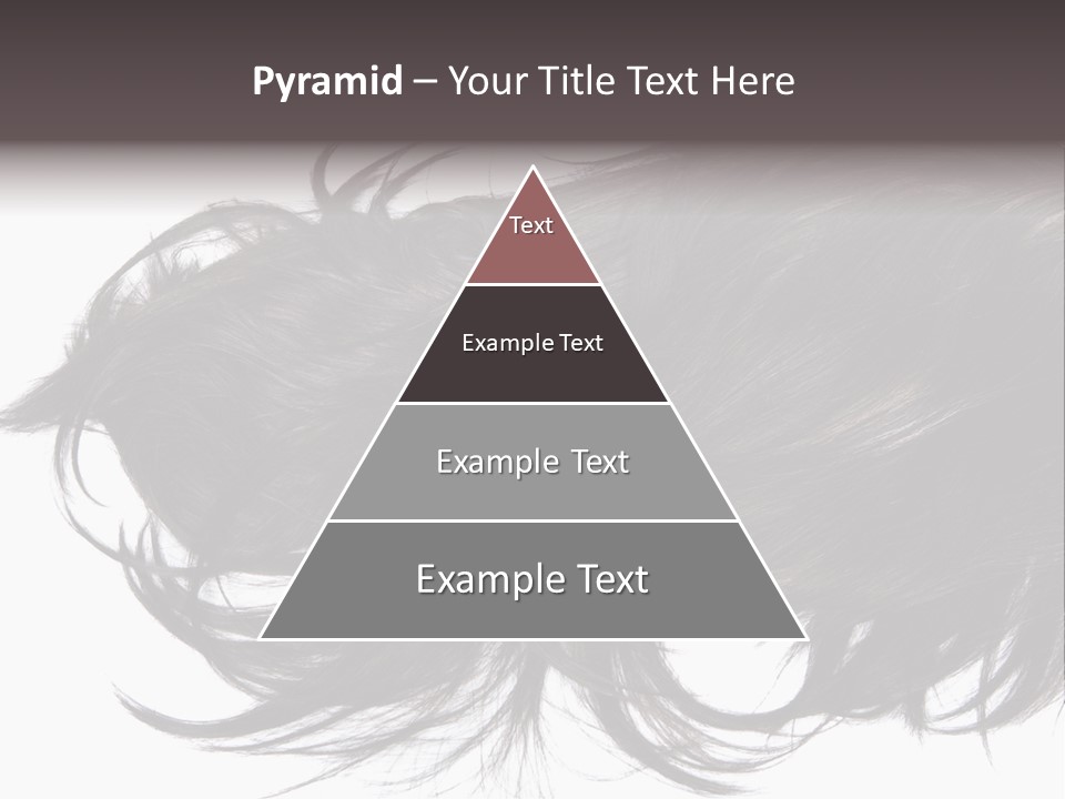 A Close Up Of A Black Hair On A White Background PowerPoint Template